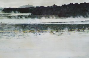 Landschap bij het mistige meer