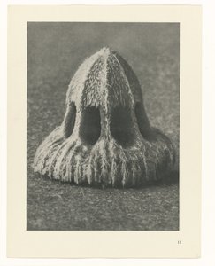 Plantstudies Urformen der Kunst: fotografische plantenbeelden (serietitel) door Karl Blossfeldt