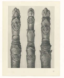 Plantstudie Urformen der Kunst (serietitel)