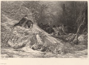 Beschut tegen de vorst door Karl Bodmer