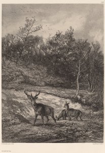Aan de waterkant