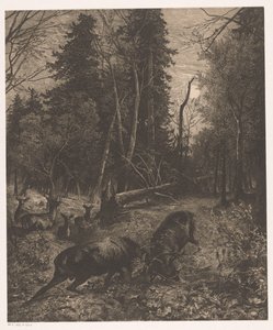 Bosgezicht met twee vechtende herten door Karl Bodmer