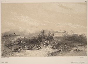  door Karl Bodmer