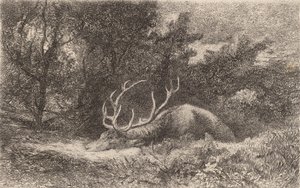 Rustende hert door Karl Bodmer