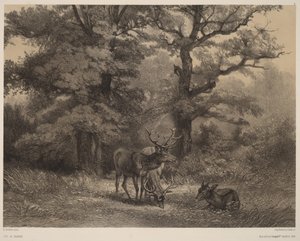  door Karl Bodmer