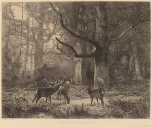 Bos van Fontainebleau door Karl Bodmer