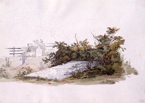 Graf van de Broeders in Gnadenhutten door Karl Bodmer