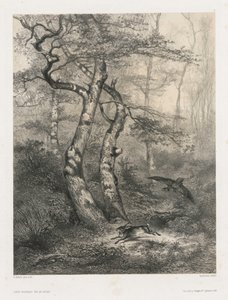 Haas Achtervolgd door een Havik door Karl Bodmer