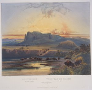 Kudde bizons aan de Upper Missouri door Karl Bodmer