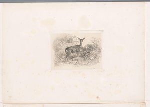 Hinde in het bos door Karl Bodmer
