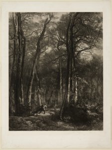 In het bos door Karl Bodmer