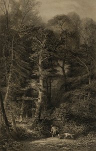 Bos interieur door Karl Bodmer