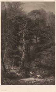 Bosinterieur