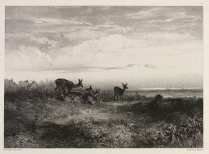 Landschap met herten door Karl Bodmer