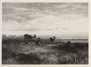 Landschap met Herten, ca. 1840 door Karl Bodmer