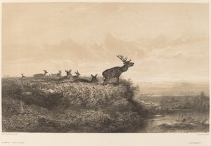 De Ochtend door Karl Bodmer
