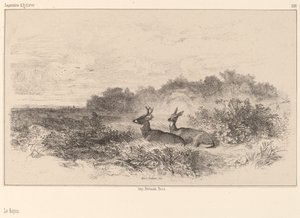 De rust door Karl Bodmer