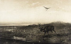  door Karl Bodmer