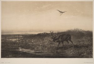  door Karl Bodmer