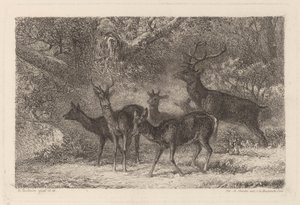 De harde