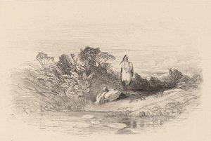 Les Deux Herons