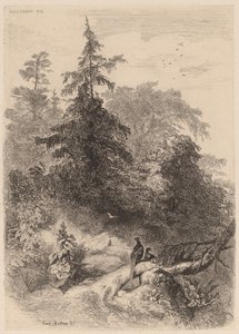 De Fazanten door Karl Bodmer