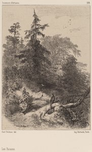De Fazanten door Karl Bodmer