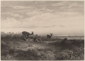 Les biches door Karl Bodmer