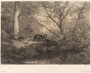 Wilde zwijnen door Karl Bodmer