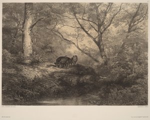  door Karl Bodmer