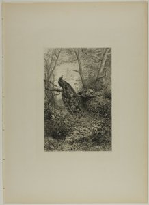 Pauwen op een tak door Karl Bodmer