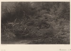 Renard op de Loer