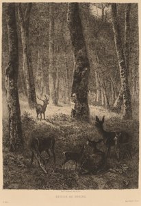 Terug naar de Schaapskooi door Karl Bodmer