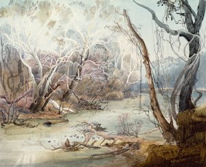 De Fox River bij New Harmony, Indiana door Karl Bodmer