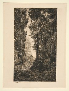 Stijgende weg in Auvers door Karl Daubigny