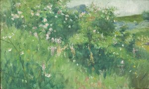 Briar-Rose struiken bloeien op het eiland Tjörn door Karl Fredrick Nordstrom