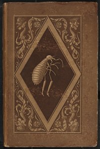 Meister Floh. Een Sprookje in Zeven Avonturen van Twee Vrienden door Karl Friedrich Thiele, Ernst Theodor Amadeus Hoffmann