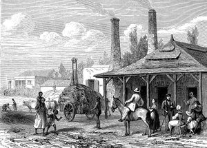 Suikerplant in Mauritius in 1863. Le T du Monde Parijs 1863 Uitgever