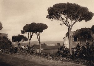 Libanon, Landschap door Karl Grober