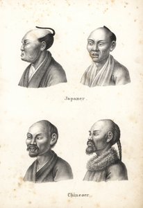 Bustes van Japanse mannen met chonmage-knot en Chinese mannen met baarden, een met vlecht. Lithografie door Karl Joseph Brodtmann uit Heinrich Rudolf Schinz
