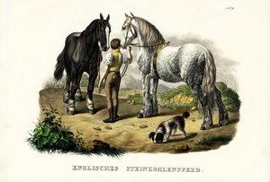 Engels mijnpaard, 1824 door Karl Joseph Brodtmann