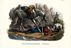 Frans Paard, 1824 door Karl Joseph Brodtmann