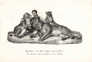 Leeuwin en welpen met trainer, Panthera leo. Lithografie door Karl Joseph Brodtmann uit Heinrich Rudolf Schinz