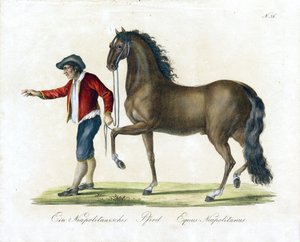  door Karl Joseph Brodtmann