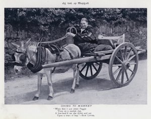 Naar de markt gaan