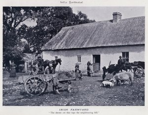 Ierse boerderij (zwart-wit foto)
