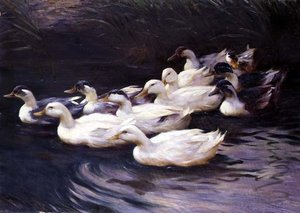 Eenden