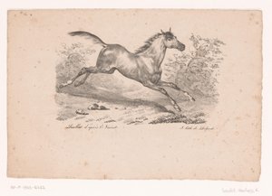 Galopperend paard in landschap