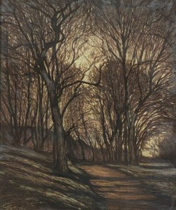 In het park