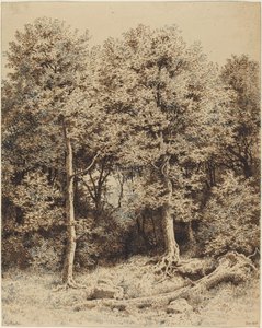 Een bosje bomen door Karl Theodor Reiffenstein